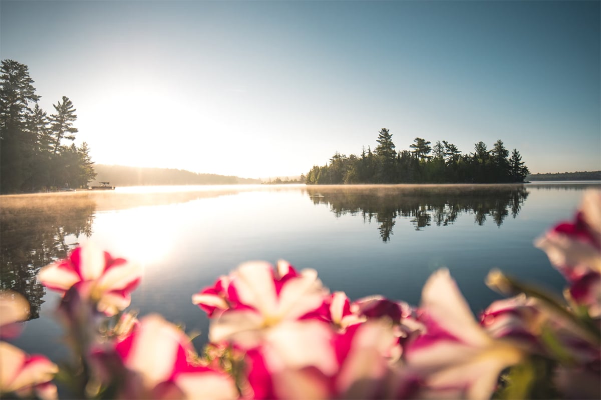View of lake and flowers