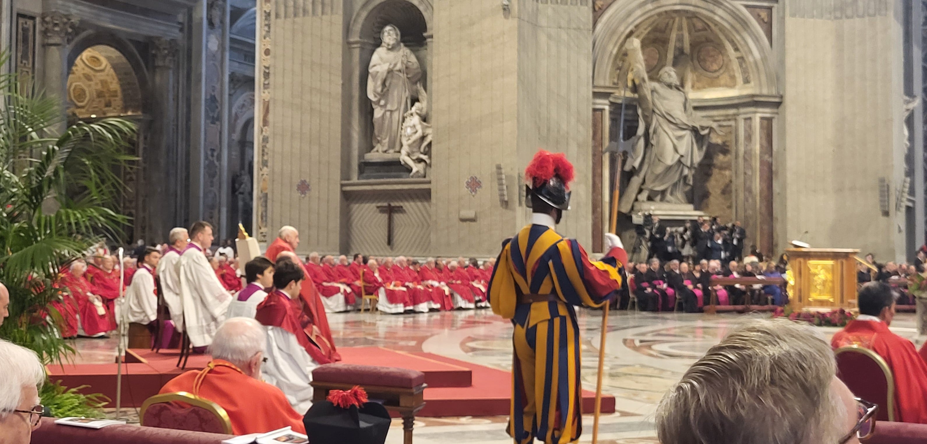 pallium banner