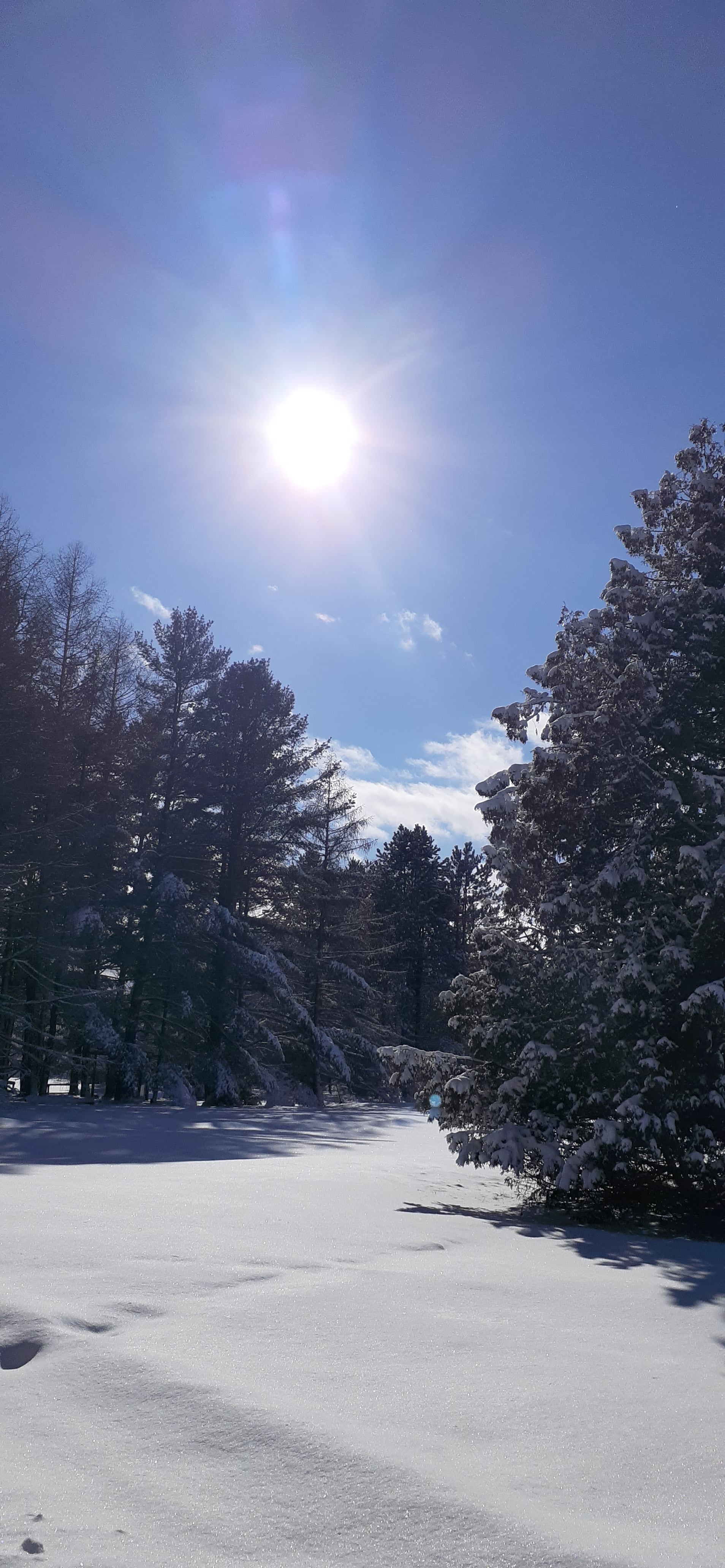 Sunny day