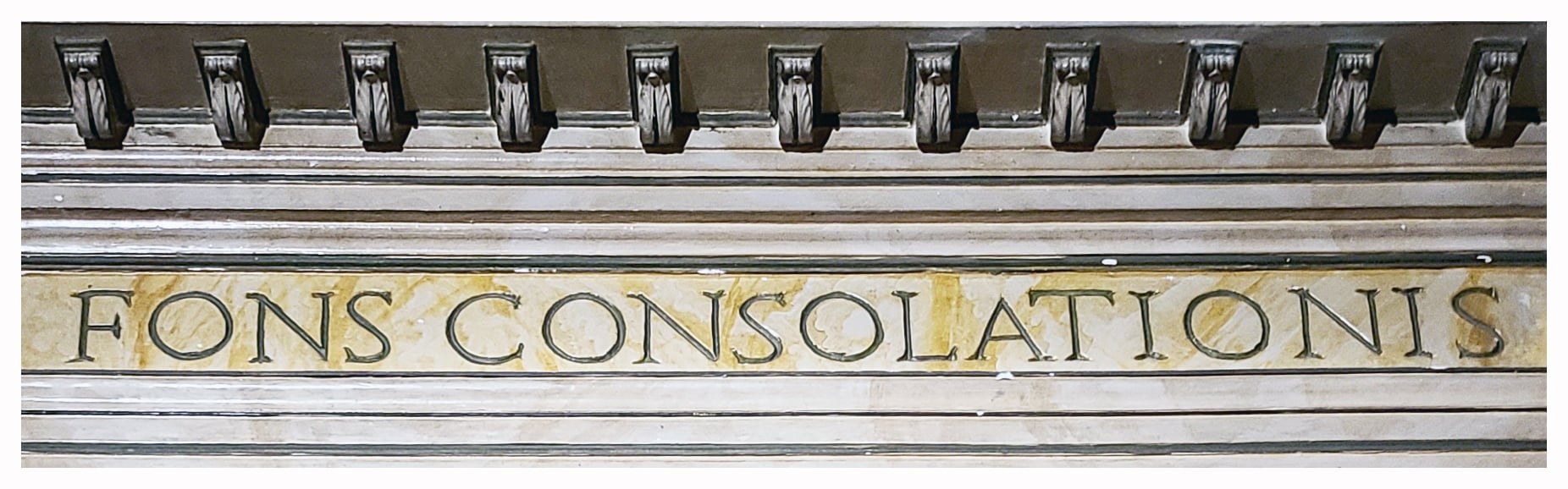 fons conslationis fons conslationis