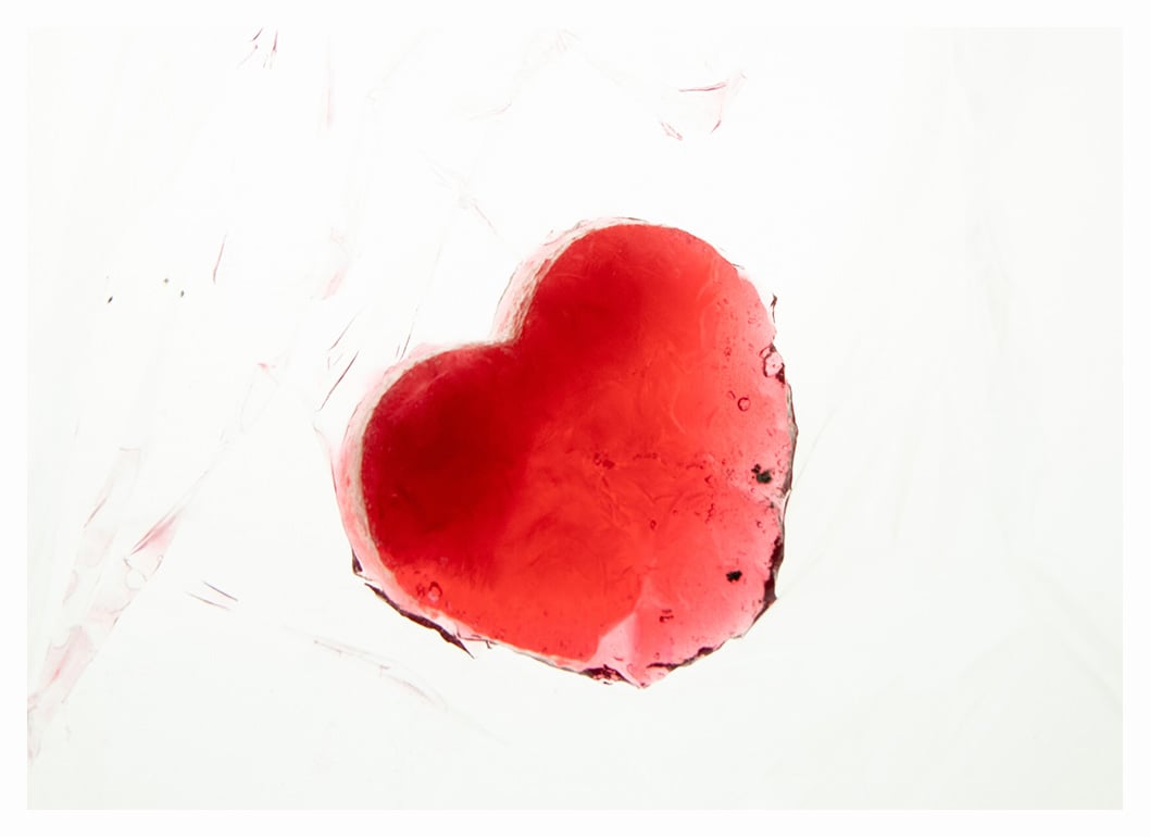 Heart Photo Heart Photo