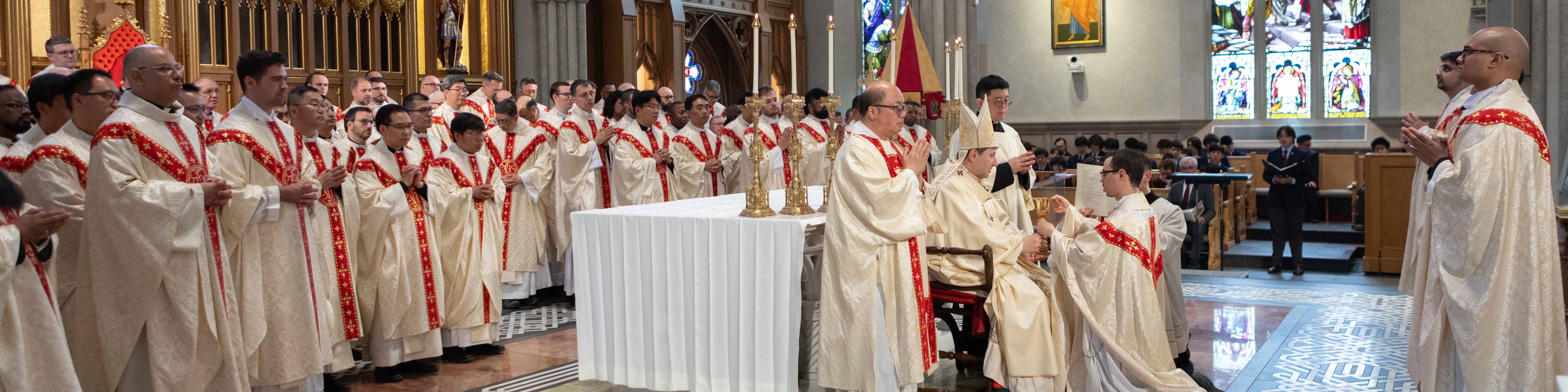 Priestly Ordinations News Banner